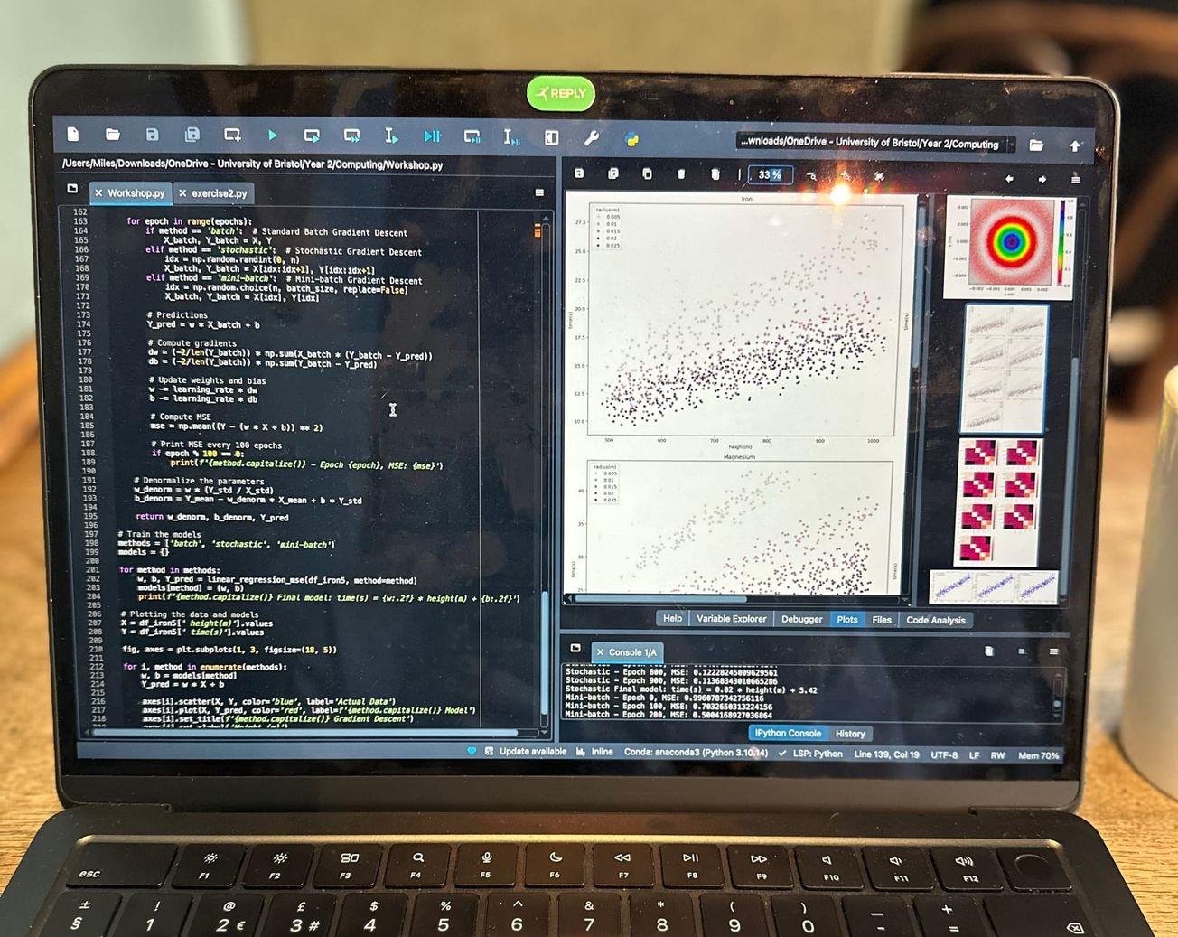 Should you learn to code?