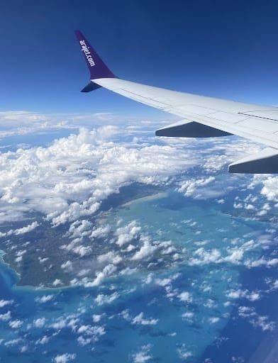 Opinion | Is Studying Abroad Worth It? One Student Reflects on a Year Away