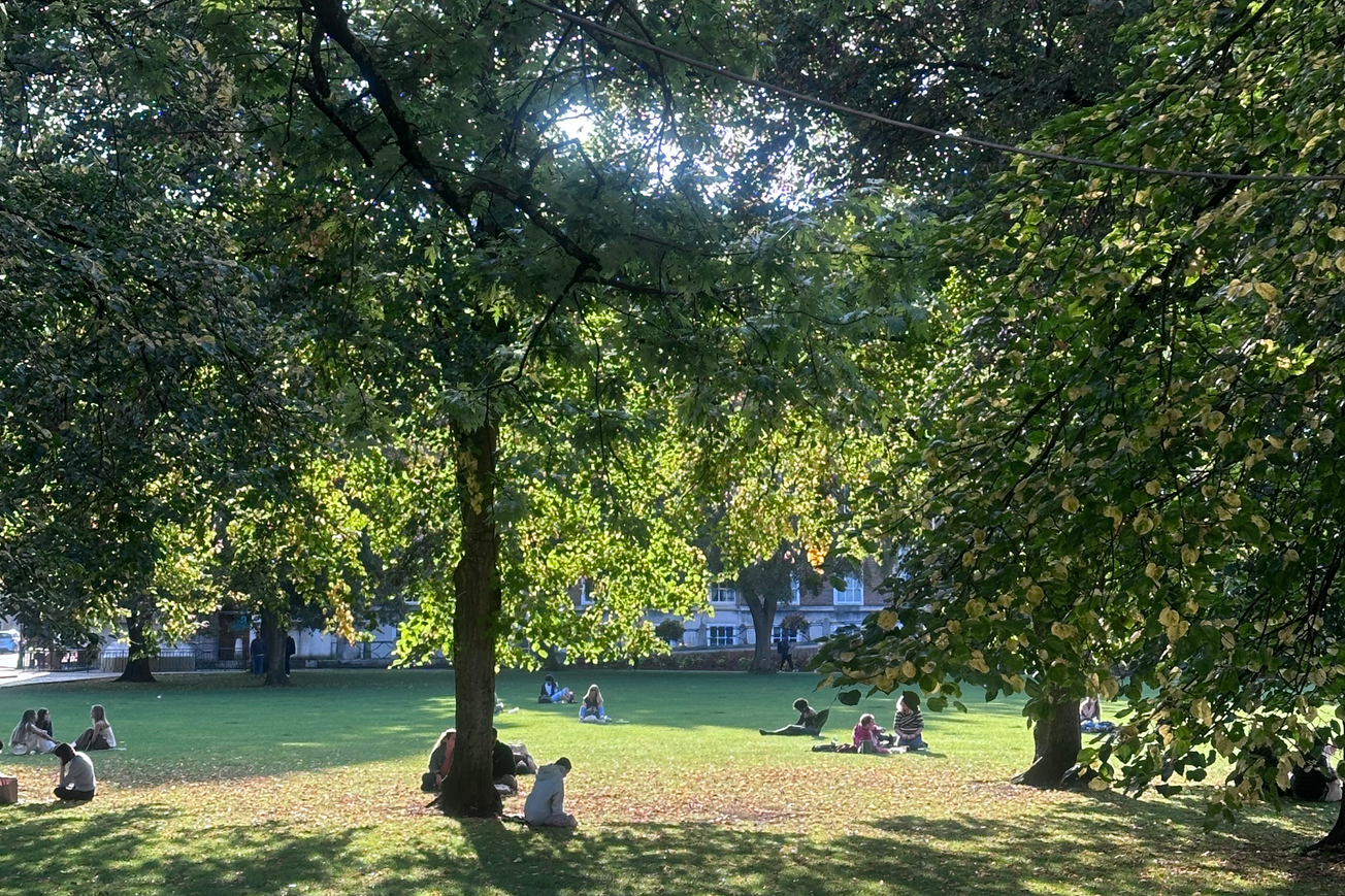 The arrival of Autumn: A seasonal guide to Bristol's cosier months