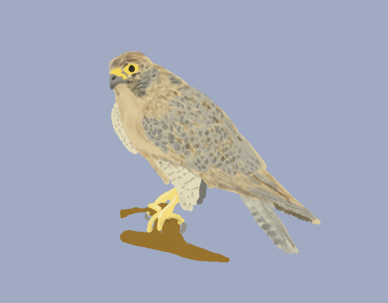 The Gorge: geology and biology