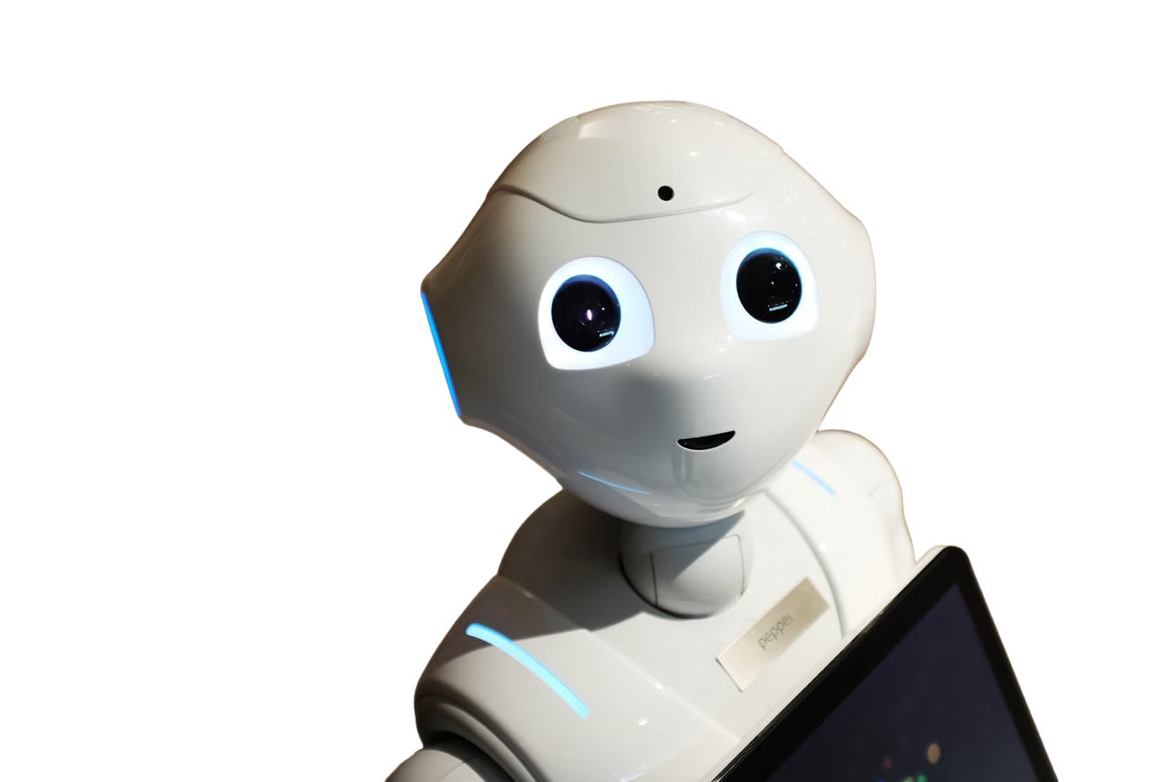 I went undercover as an AI Chatbot, here's what I found...