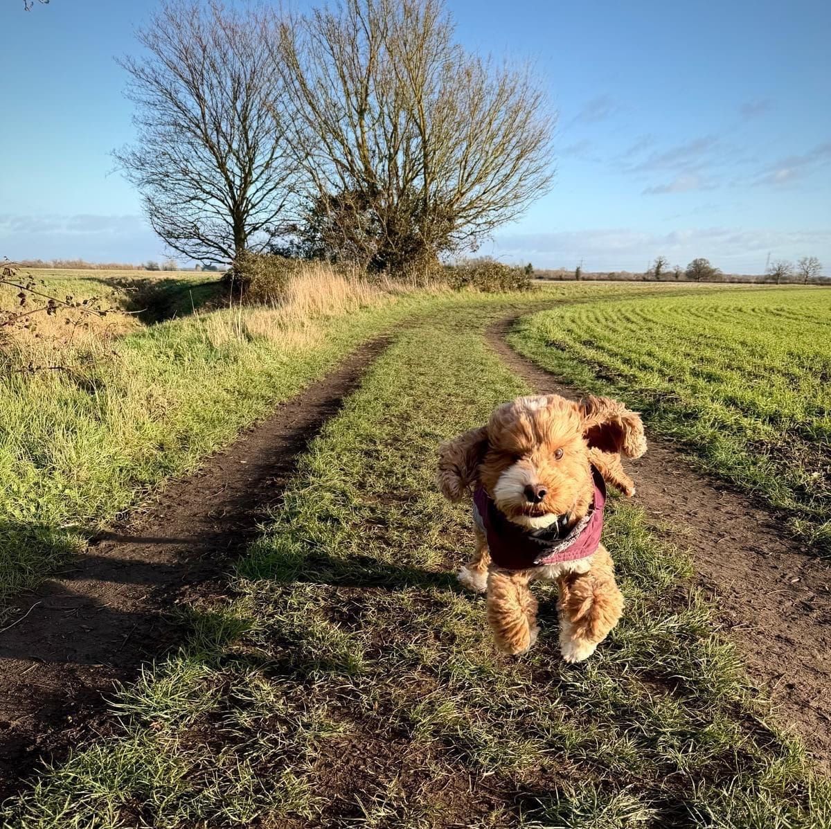 The Psychology behind New Year's Resolutions