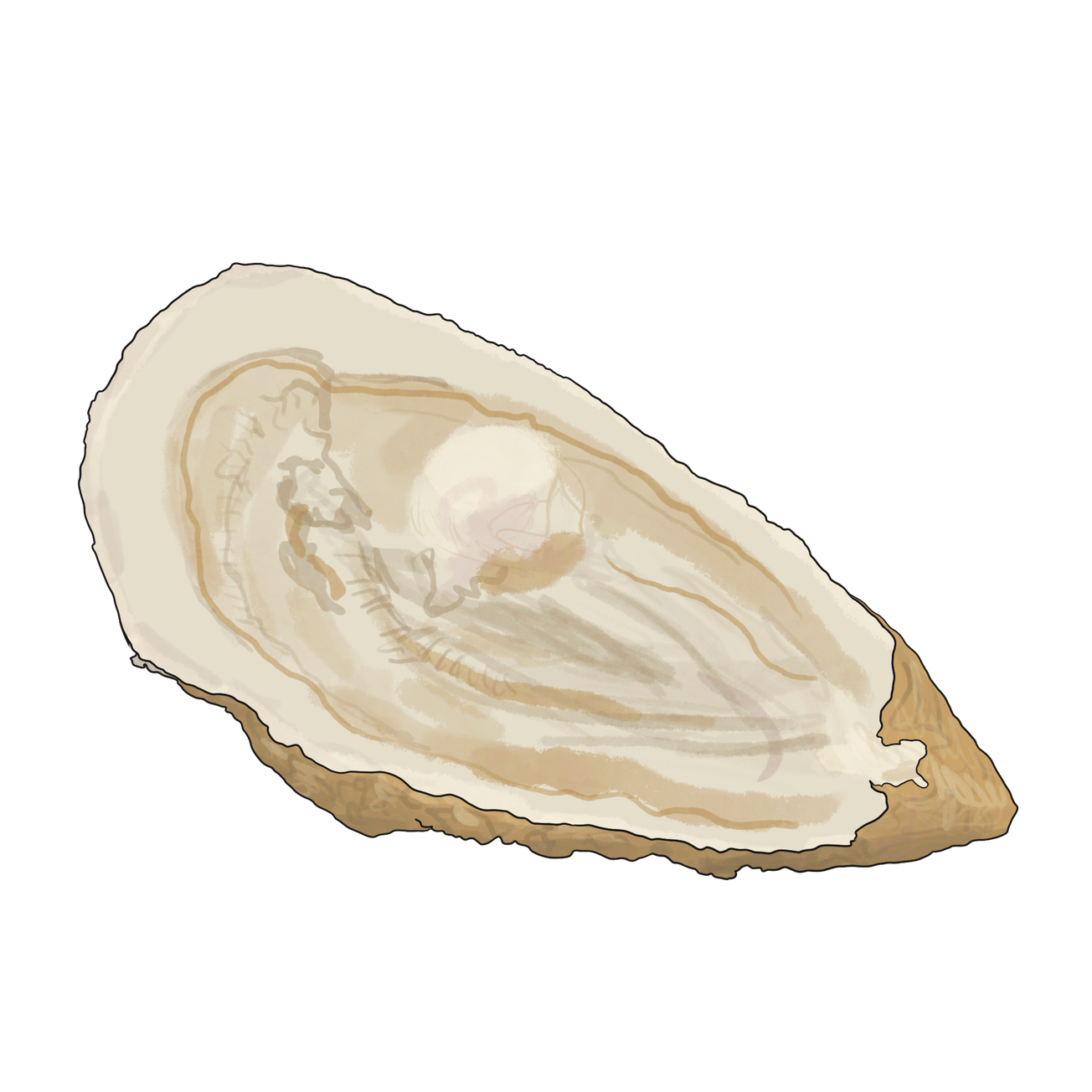 Food for thought - and other purposes