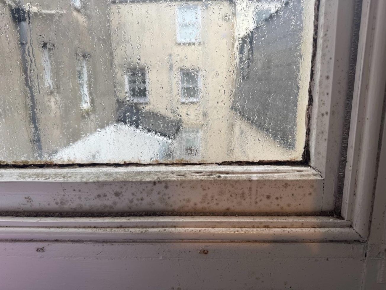 Why are student houses so susceptible to mould?