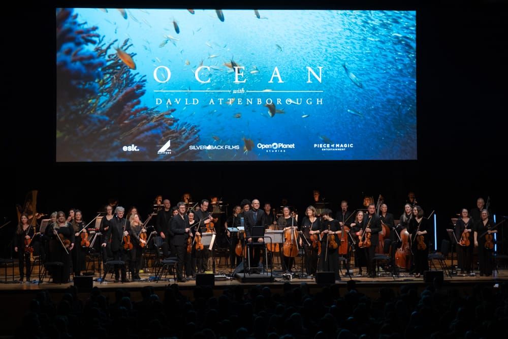 A 5-star experience of Ocean in Concert at Bristol Beacon