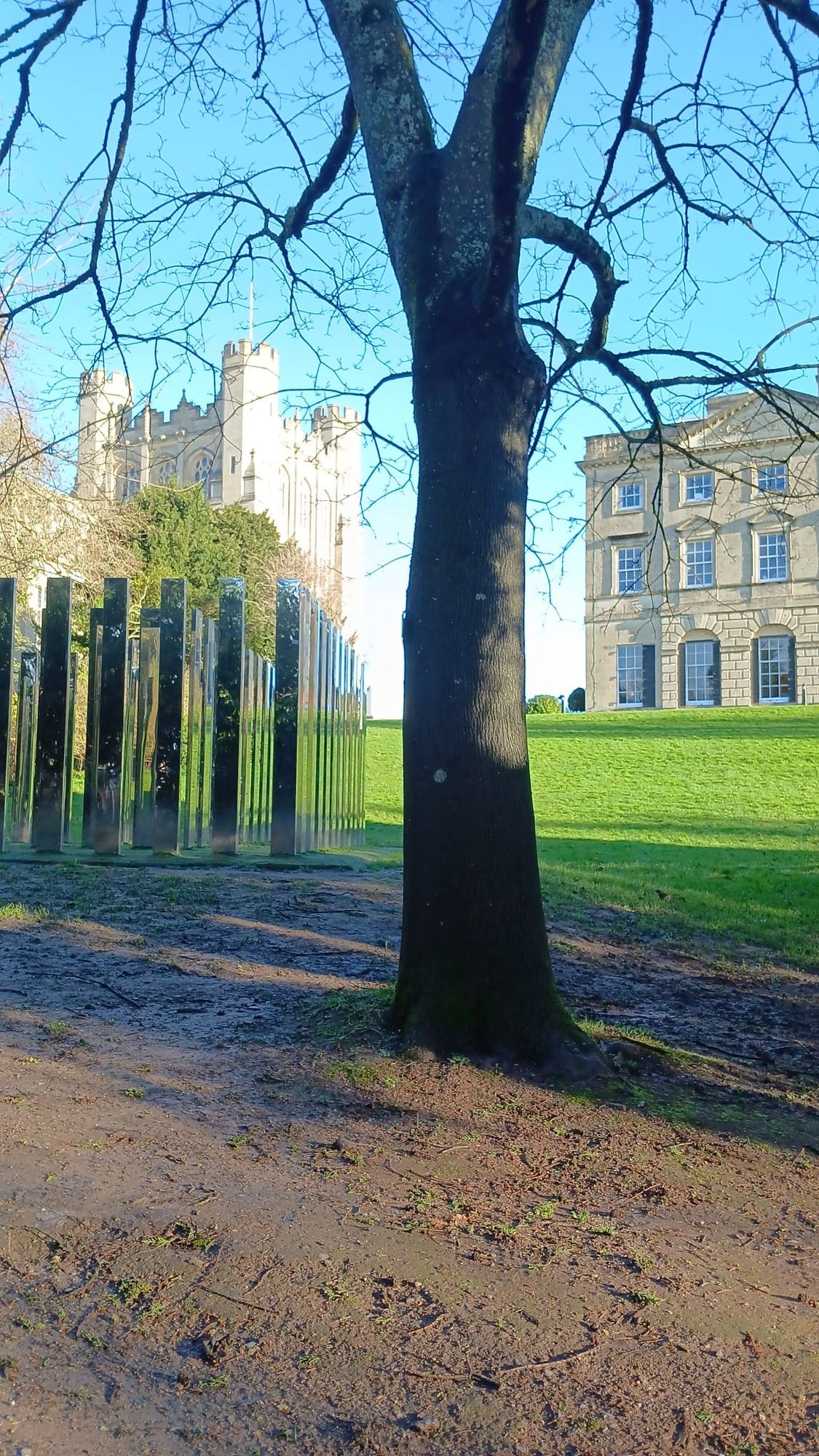 In conversation with the team at the University of Bristol's Royal Fort Gardens