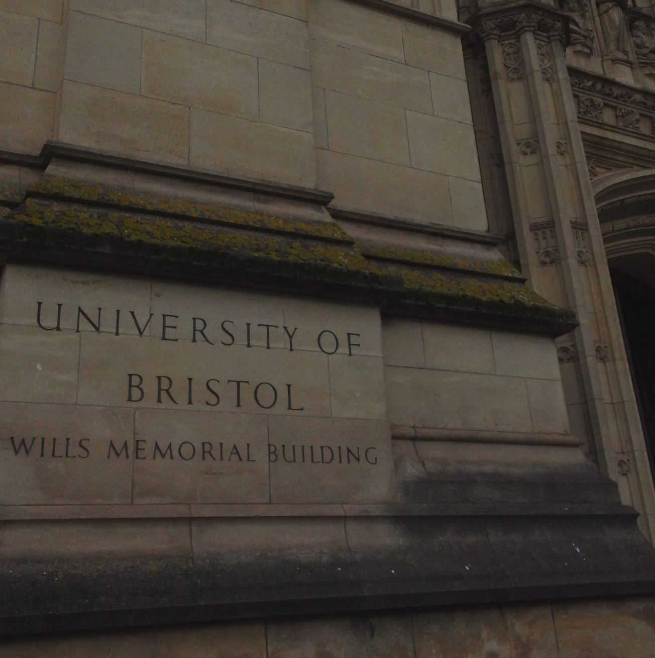 Graduating into the jobapocalypse?