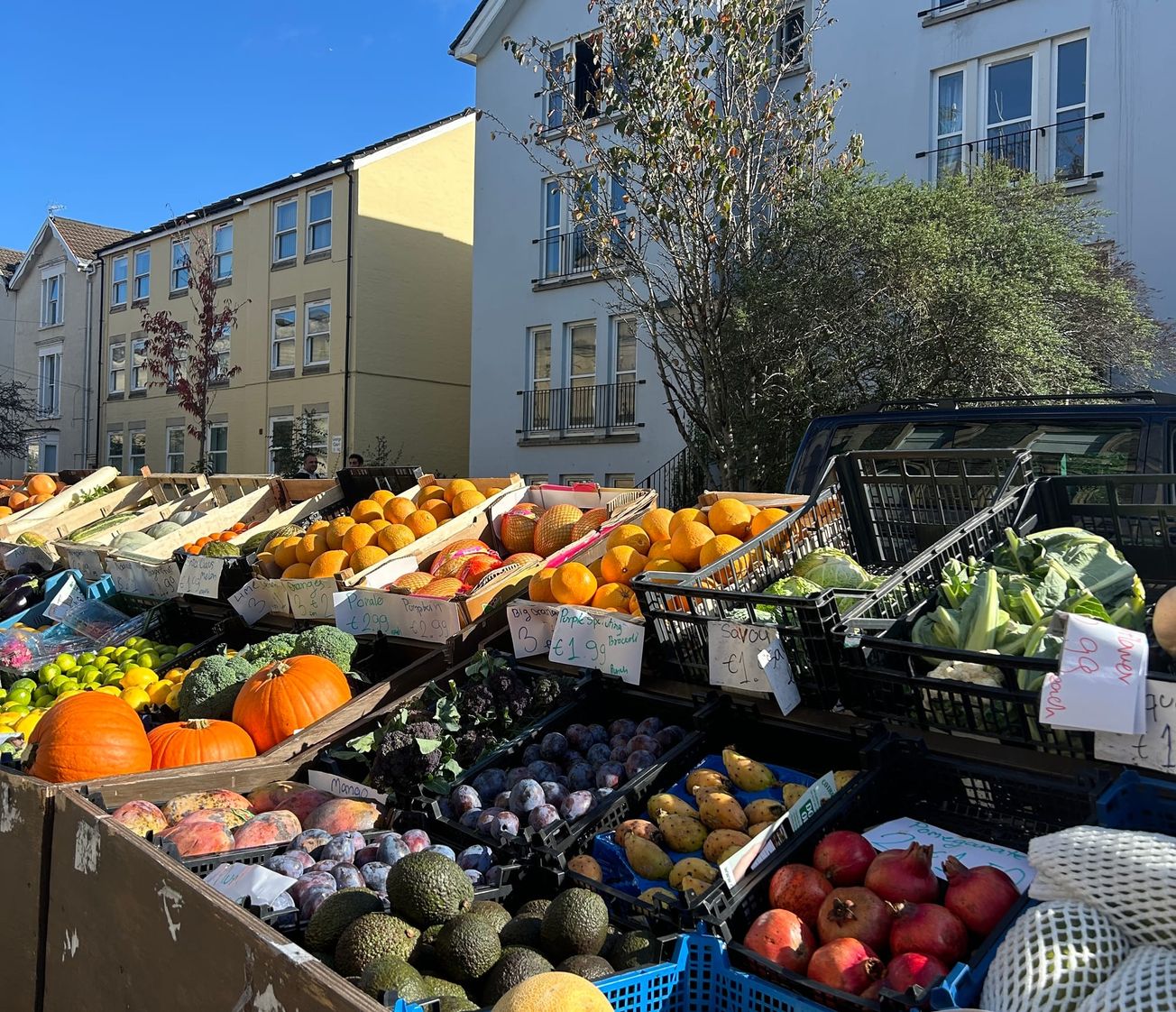 A student’s guide to ethical (and cheap) groceries