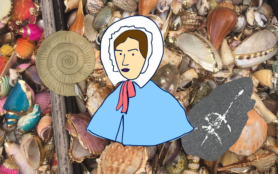 She sells sea shells: The story of Mary Anning
