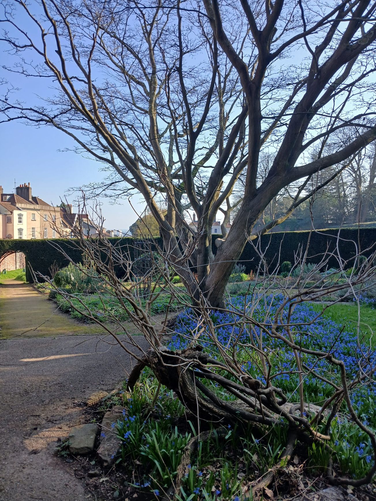 In Conversation with Kasha Smal in Goldney Garden