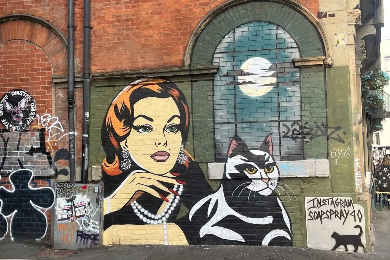 The parasite that turns you into a crazy cat person: Neuroscience explains parasitism Toxoplasma Gondii