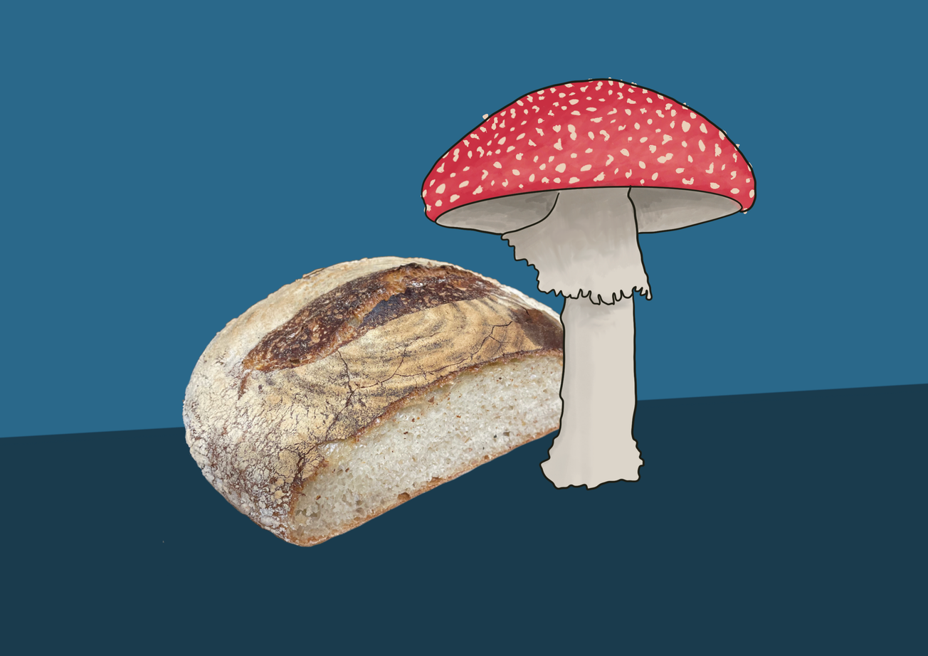 Fungi and focaccia: Pay some mind to the yeast behind the rise