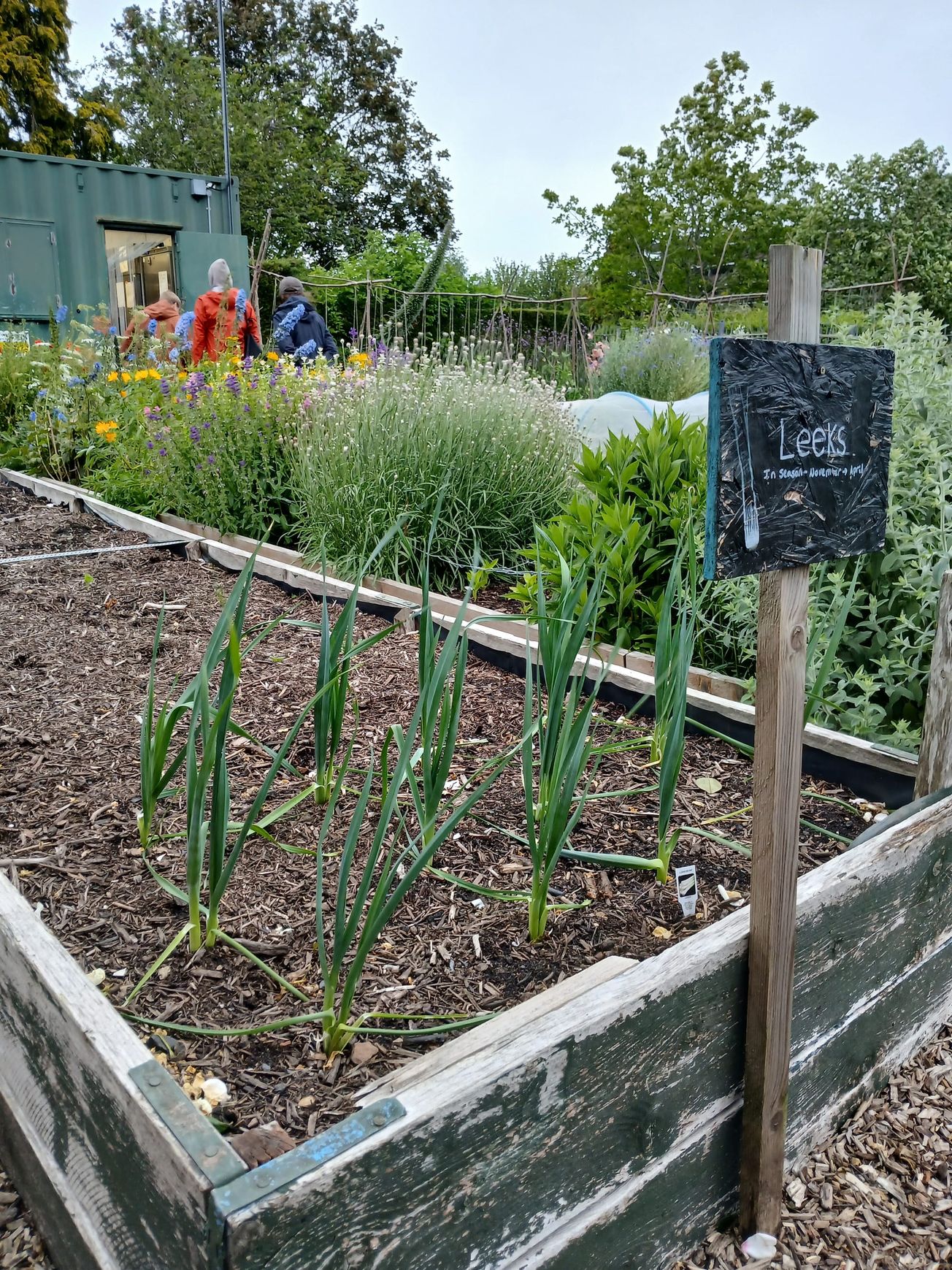 In conversation with Redcatch Community Garden in Knowle
