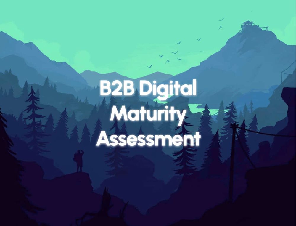 B2B eCommerce Maturity Assessment by Eugene Slyvinsky