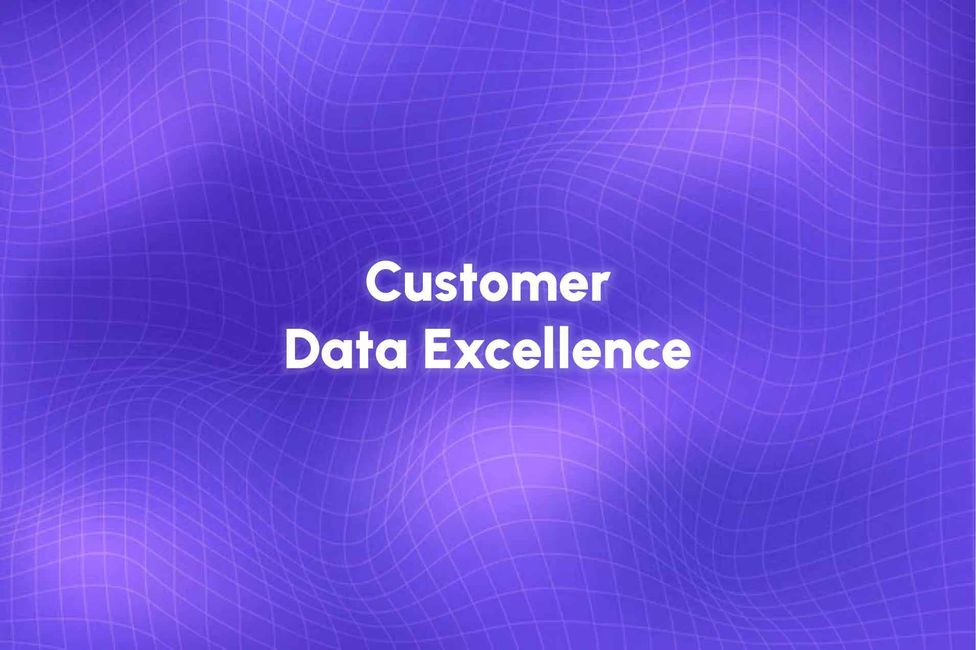 Achieving Customer Data Excellence