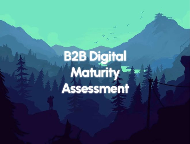 Image of: B2B Digital Maturity Assessment