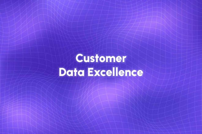 Image of: Achieving Customer Data Excellence