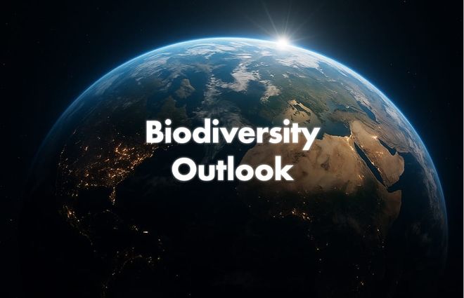 Image of: Biodiversity Outlook