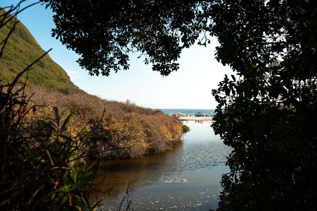 Santa Barbara Wants More Housing. At What Cost?