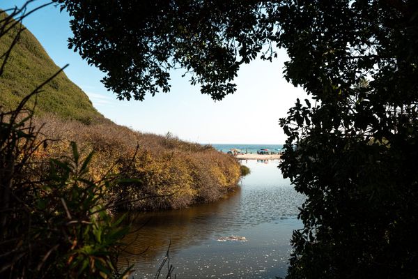 Santa Barbara Wants More Housing. At What Cost?