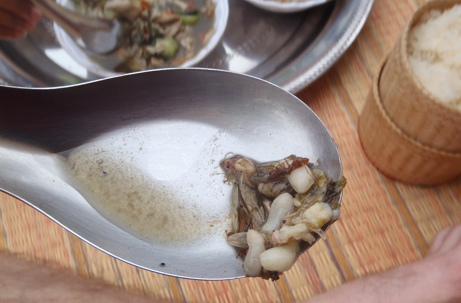 Ant Egg Soup