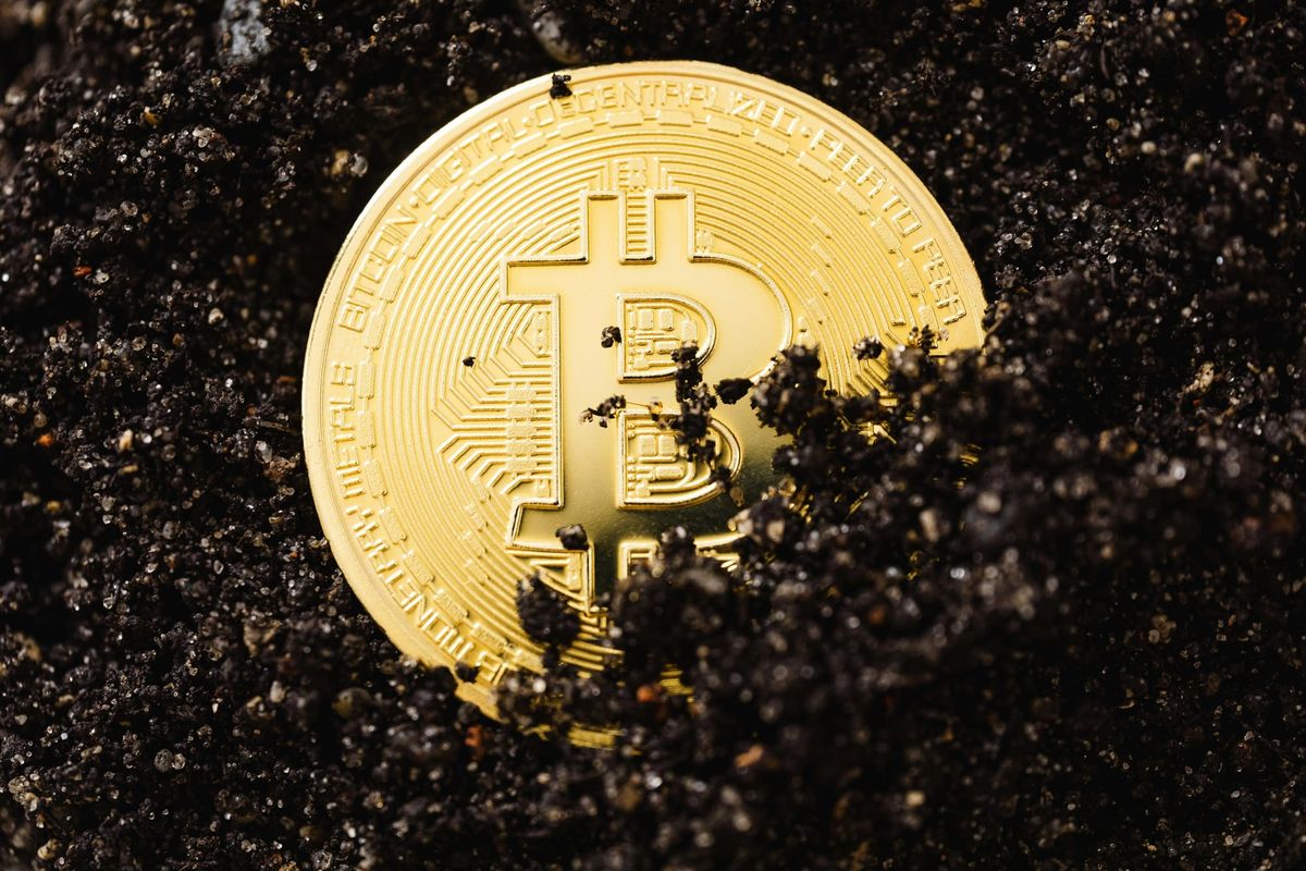 The last bitcoin mined, what then?