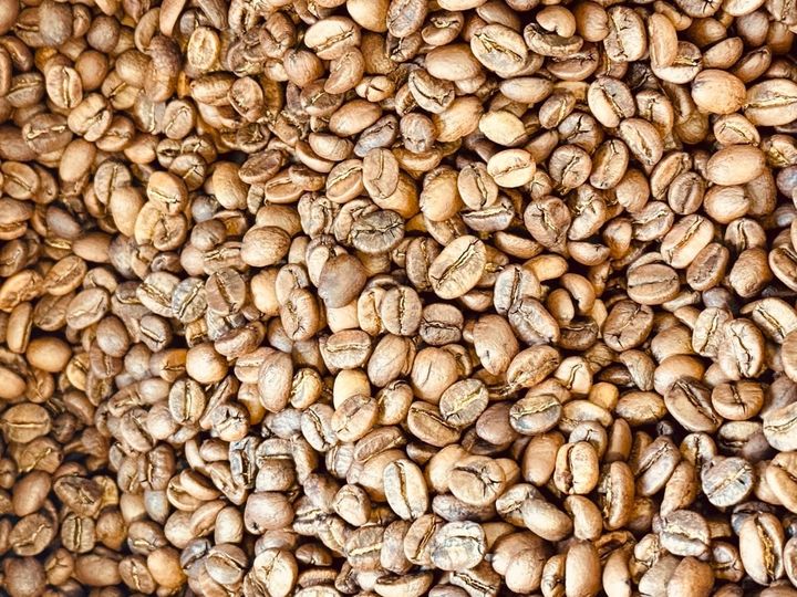 Café Tostado en El Culto al Perro Café