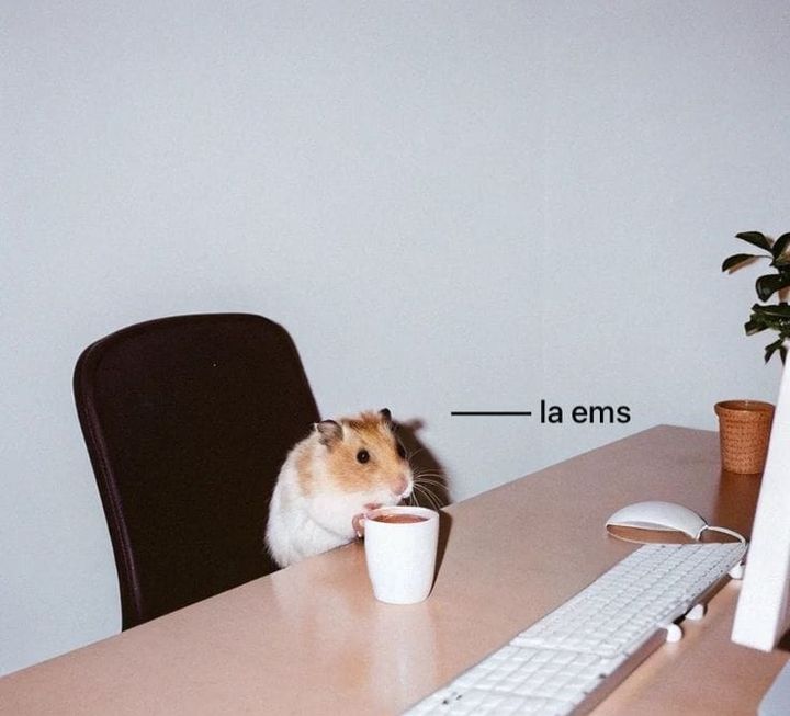 Crónicas de una adulta chiquita con una cafetería