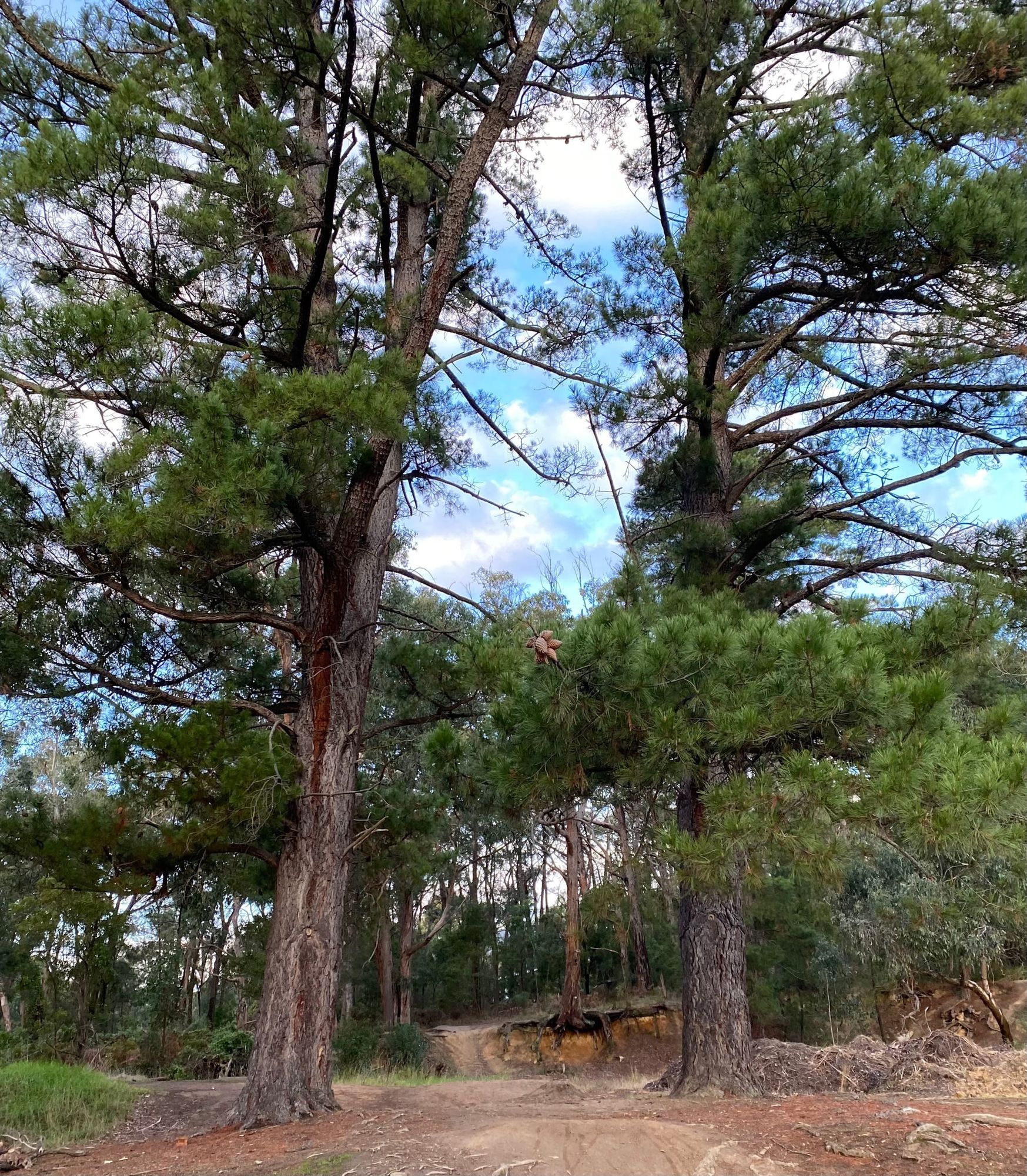 Day 3 - The Myth of the Ordinary