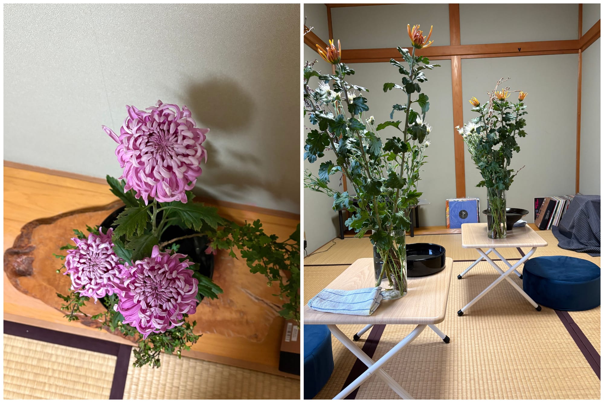 Materials for ikebana arrangements: much simpler than you might expect