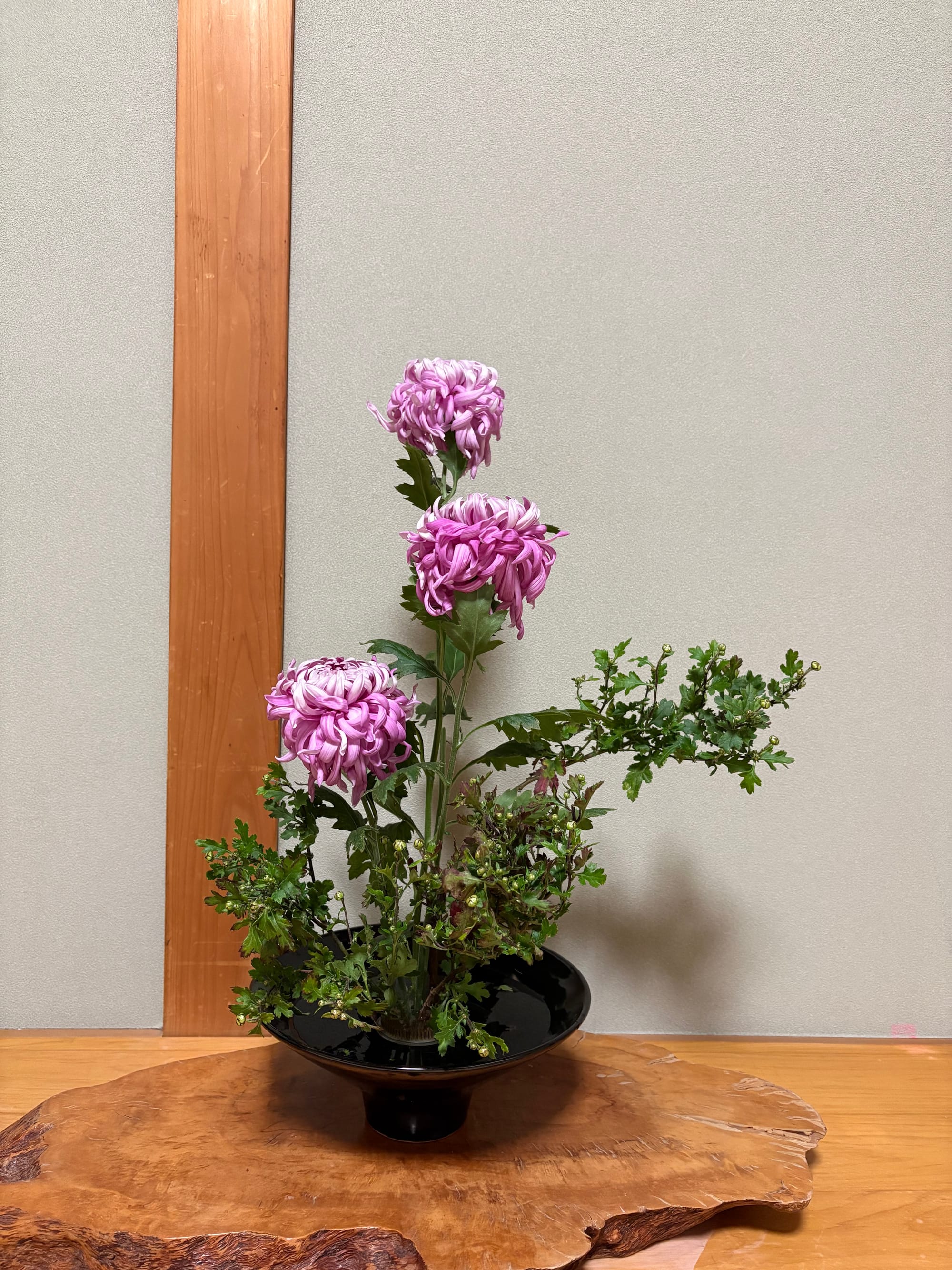 Ikebana arrangement with chrysanthemums in a vase