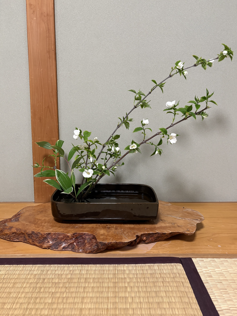 Ikebana's core principles: lines, space, balance, seasonality