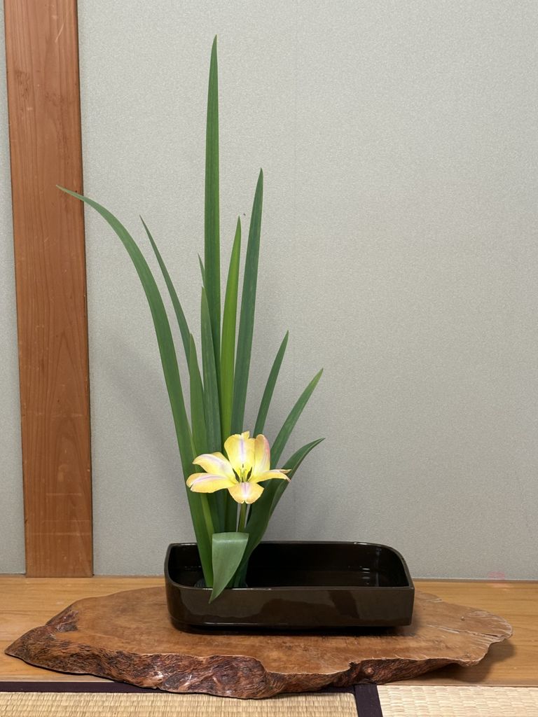 Ikebana arrangements take many forms