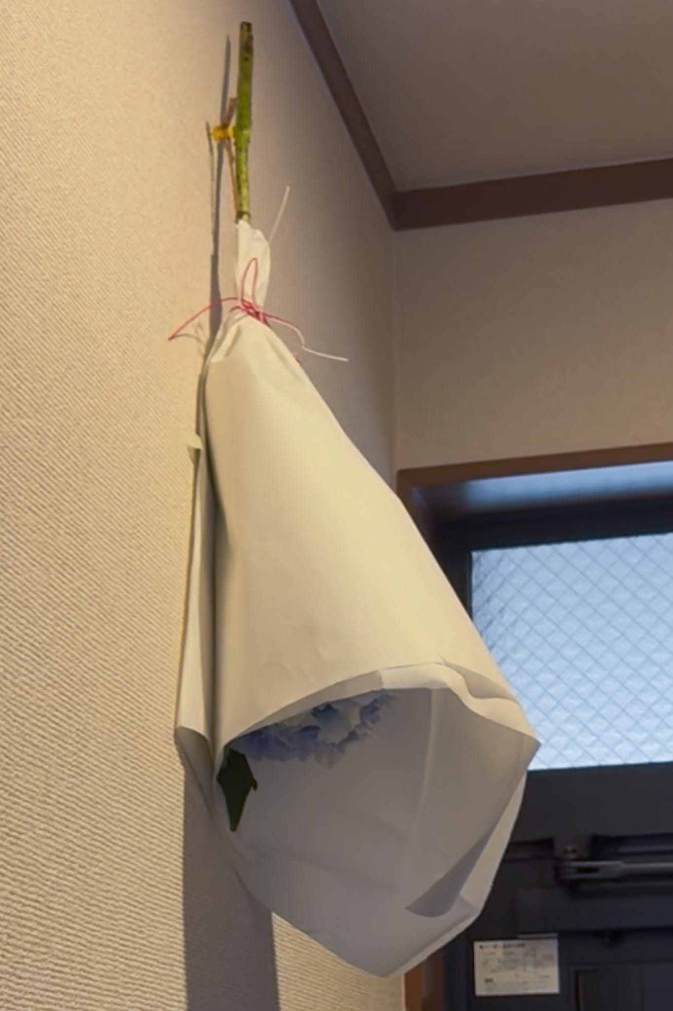 My ajisai mamori hung by the front door