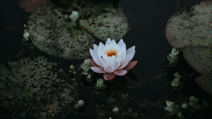 Balancing Many Hats While Finding Time to Be Yourself