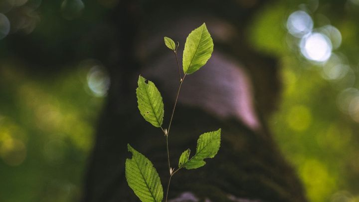 Coming to Terms with the New Reality