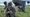 First all-female infantry platoon sets record for misconduct charges