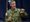 Admiral McRaven defends millennials in viral TikTok video