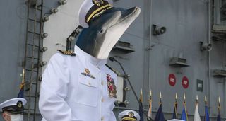 Top Navy dolphin implicated in ‘favors-for-fish’ scandal