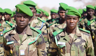 Niger's vets show jan. 6th vets how it’s done at coup D'état 2023