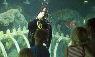 Sailor outraged children's discount more than veterans at local aquarium