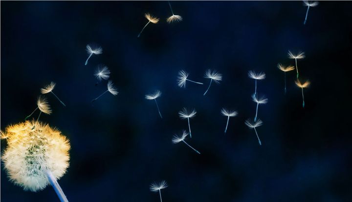 Express Yourself,  the Role & Benefits of  a Letter Wishes