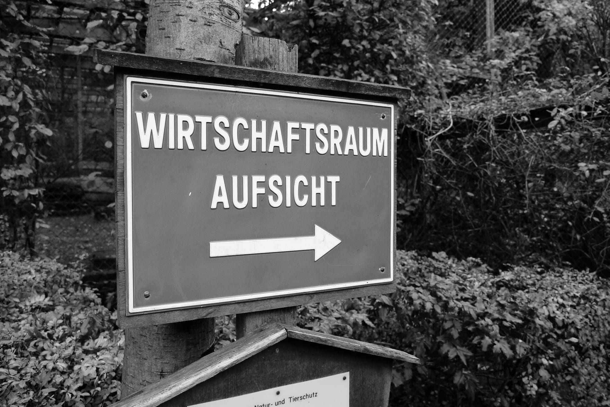 BaFin 2.0 - ein guter Start in die digitale Zukunft
