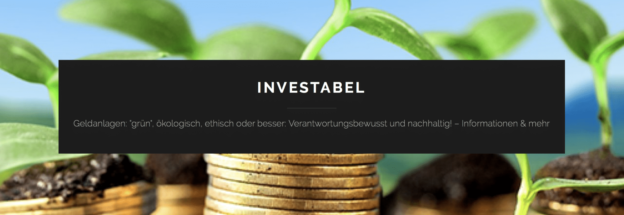FinTech Vorstellung Investabel