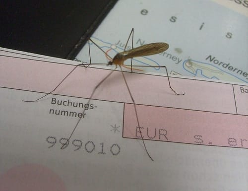Photo credit: ThomasKohler via Visual Hunt / CC BY Was Nutzer vom Online-Banking wirklich erwarten...?!