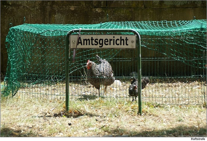 Photo by to.wi on Visualhunt.com / CC BY-NC-SA Rückschlag für den Handel...ach wirklich? BGH kippt Käuferschutz