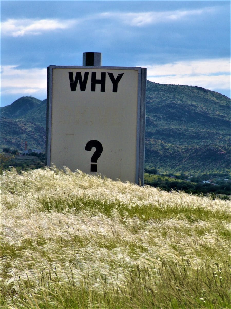 Ask me anything..., findet Christoph Iwaniez, Bitwala,
