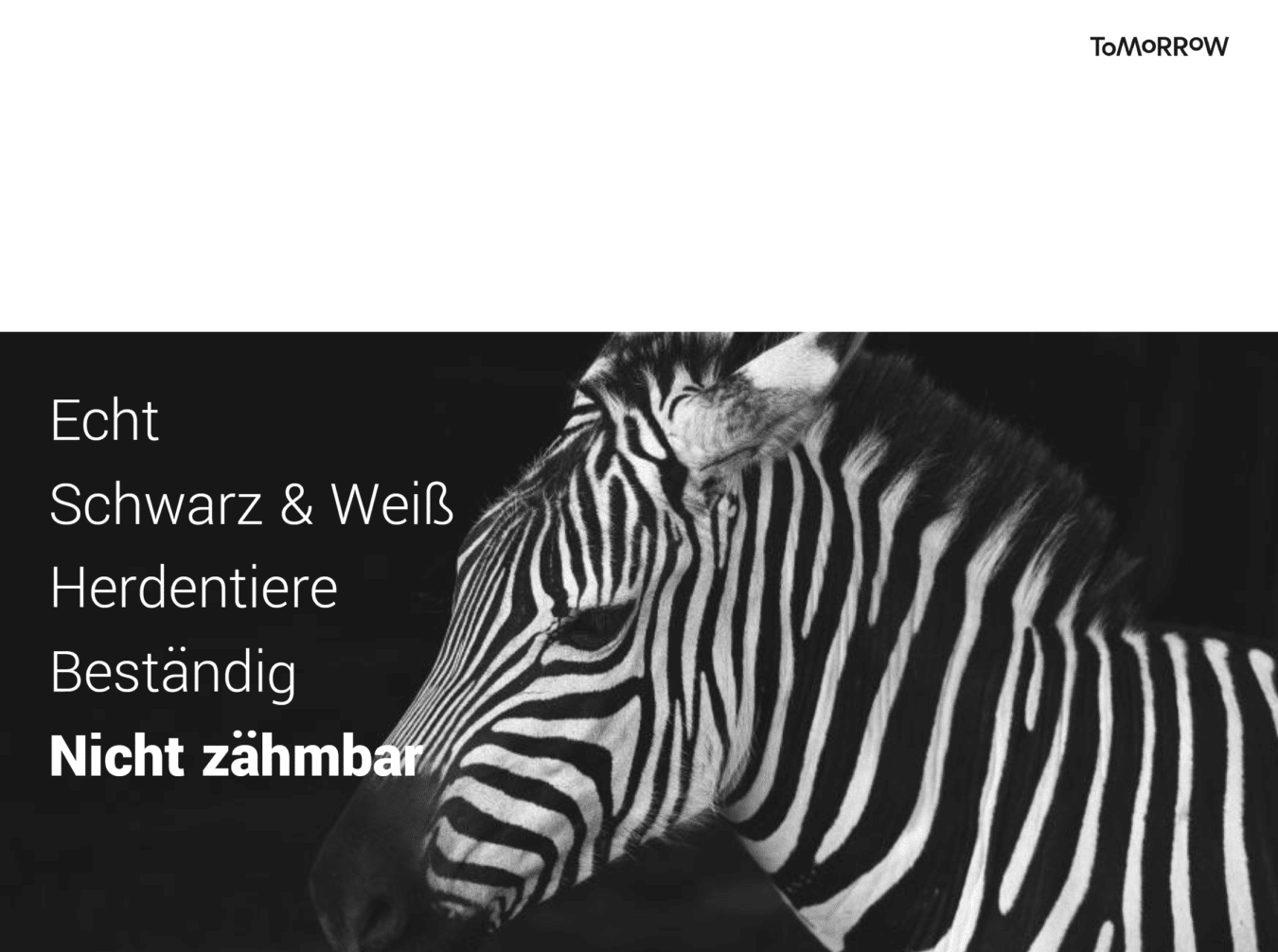 FinTech Podcast #227 - #BEX19 Recap/ Das Ende der Einhörner