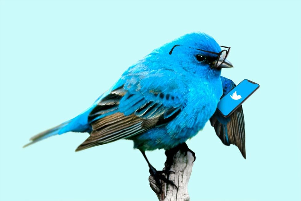 Twitter – Oder: Wie ich eine Pressemitteilung auf 280 Zeichen kürze