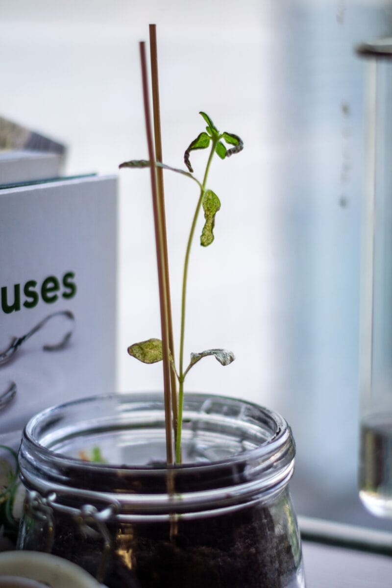 Impact Investing: Improving the world with money